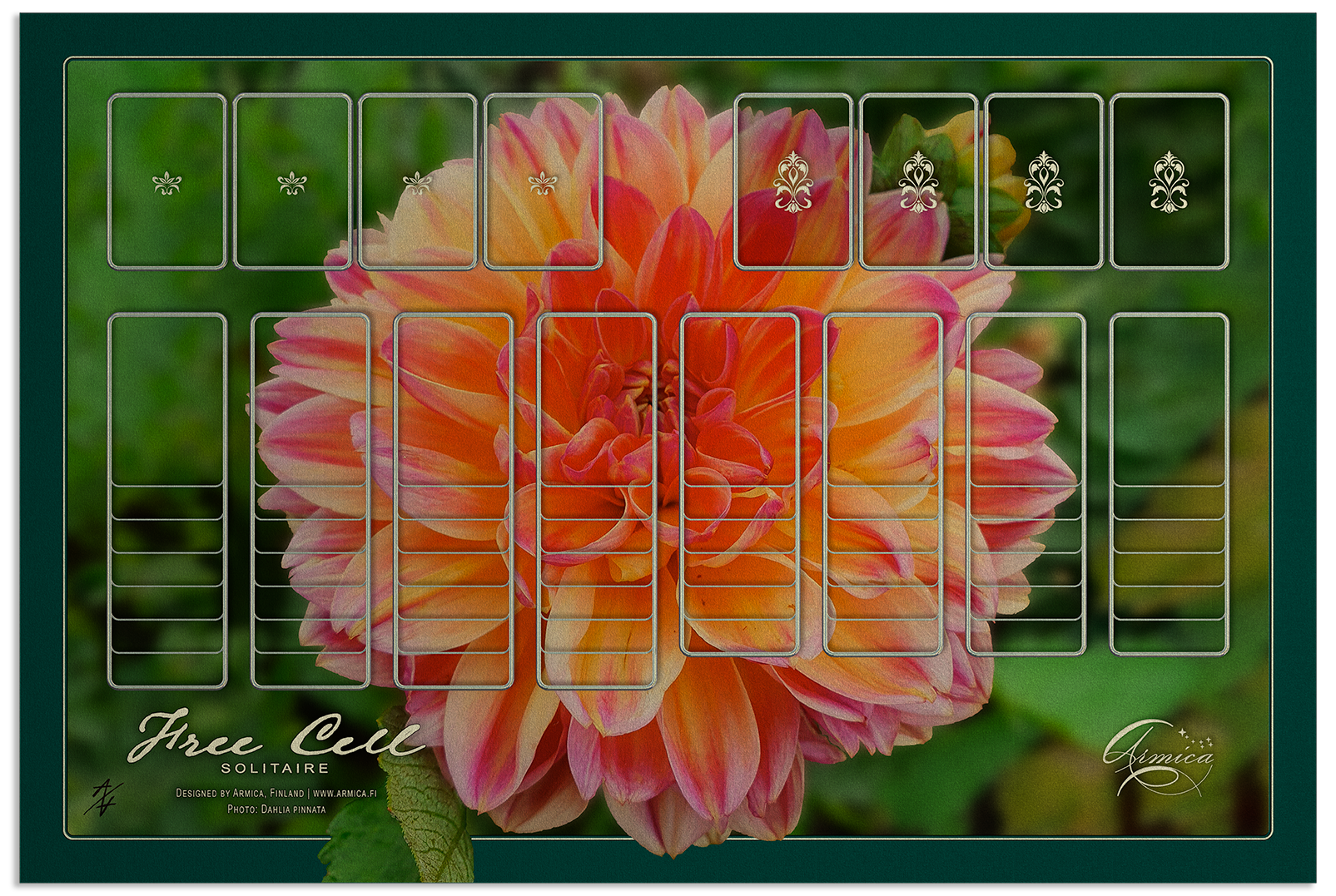 Solitaire | Free Cell | 47x70 cm / 18.5x27.5in | chrome | Dahlia pinnata