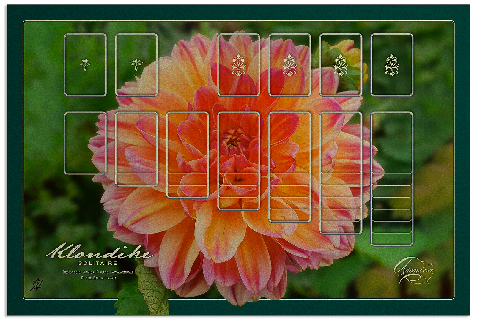 Solitaire | Klondike 1 deck | 47x70 cm / 18.5x27.5in | chrome | Dahlia pinnata