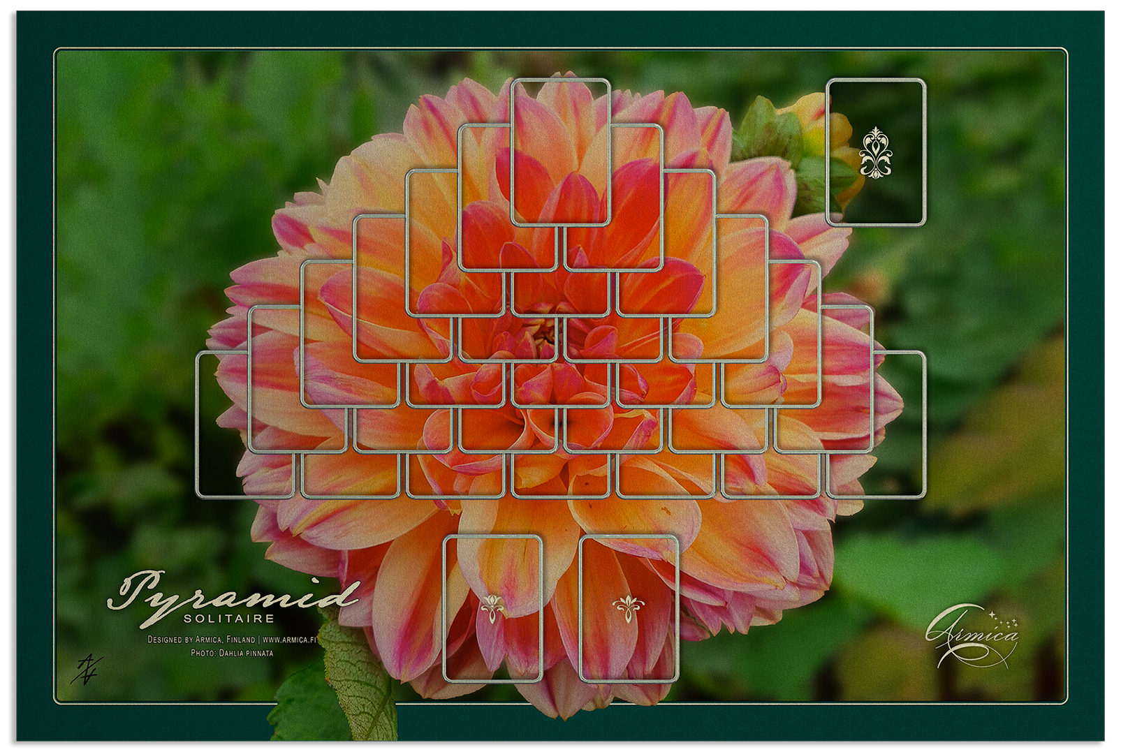 Solitaire | Pyramid | 47x70 cm / 18.5x27.5in | chrome | Dahlia pinnata